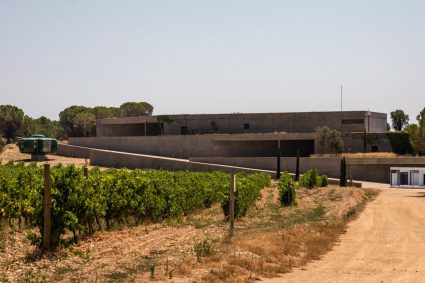 Le domaine Terra Remota célèbre ses 20 ans avec dégustations et expositions en été.