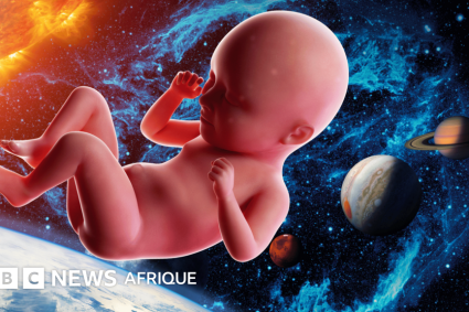 Des chercheurs explorent la possibilité de concevoir des bébés dans l&rsquo;espace.