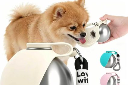 Gourde Chien Portable, 285 ML Gourde pour Chien, Gourde Chien Promenade Acier Inoxydable 304, Gamelle pour Chien Conception Pliable en Silicone Et éTanche,pour Animal Promenades Et Voyages (C)