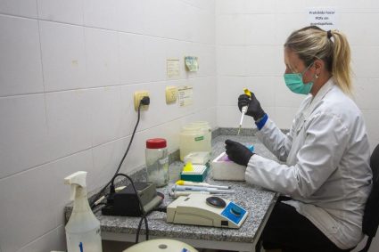 L&rsquo;Argentine élargit ses recherches sur les rongeurs potentiels vecteurs du hantavirus.
